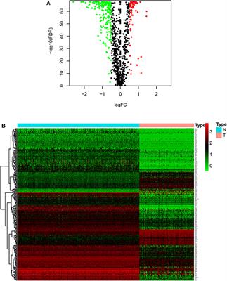 Comprehensive Analysis of Prognostic Markers for Acute Myeloid Leukemia Based on Four Metabolic Genes